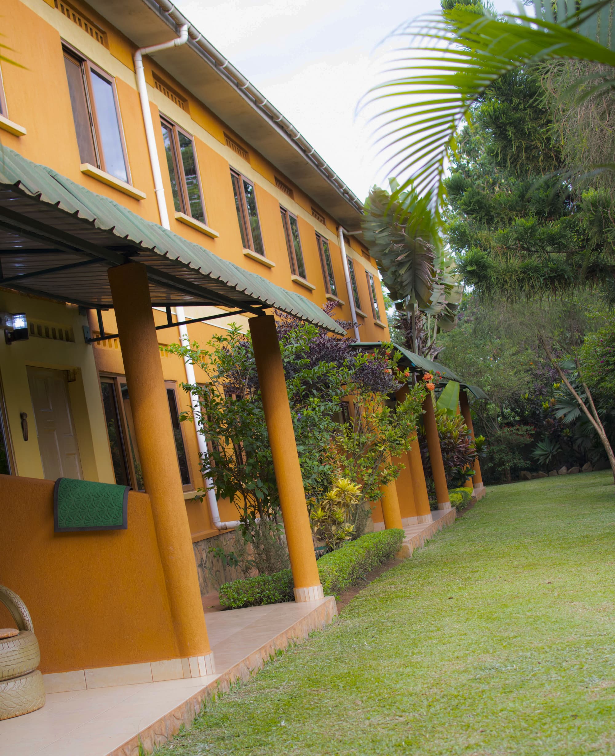 Compound View